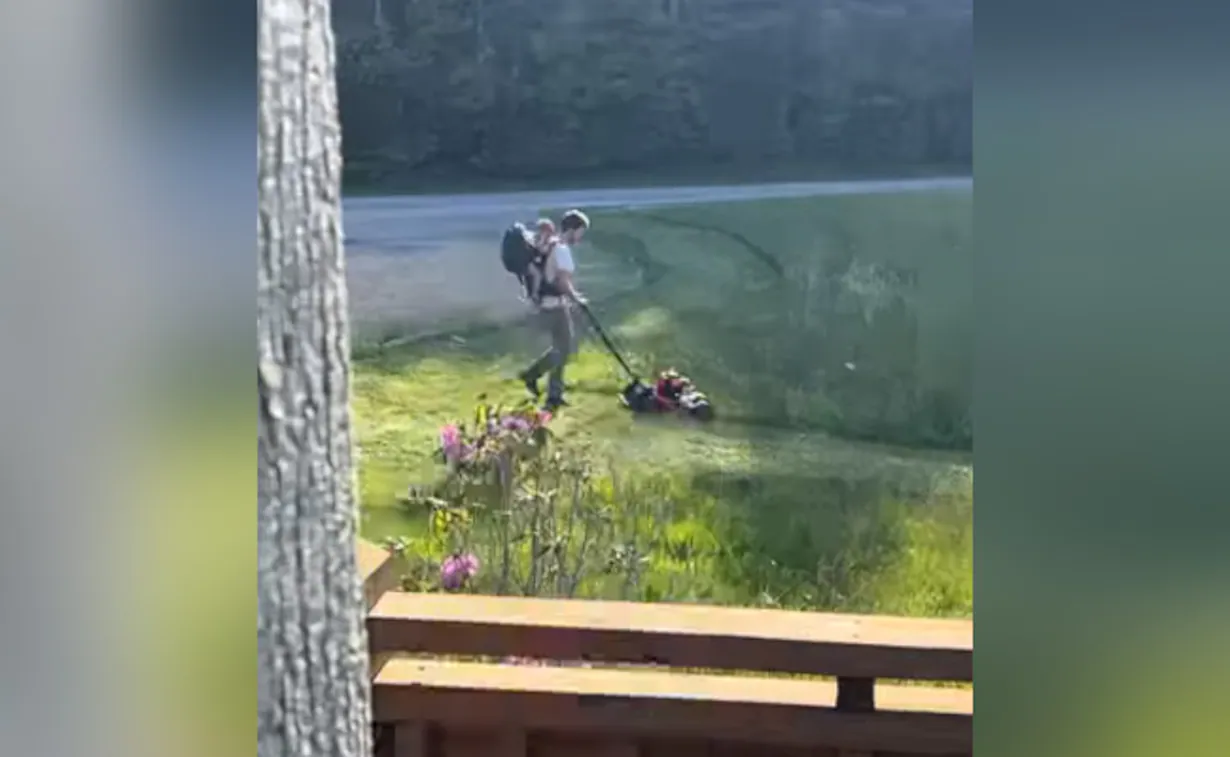 "Lot Of Good Left In World": Video Shows Neighbours Helping Man Mow His Garden