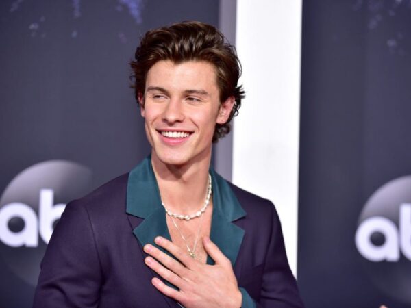 Shawn Mendes Net Worth