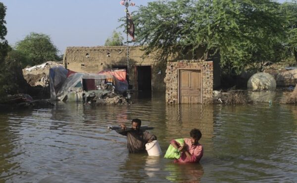 Pak Minister On Flood Aid From India: Government Will Consult Allies